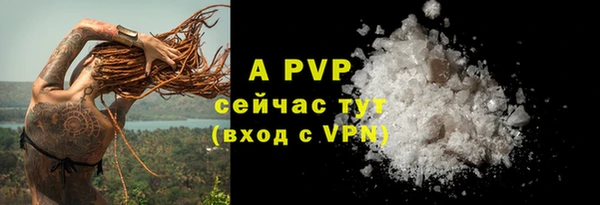 спайс Белокуриха