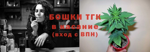 дживик Богородск